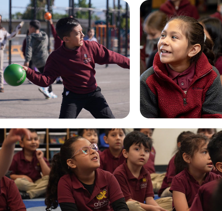 Special Education Alpha Public Schools